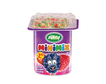 Sütaş Minimix Orman Meyveli 90 g